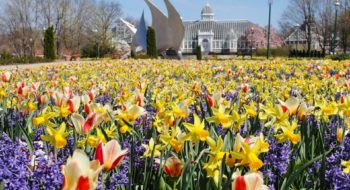 Columbus Blooms Franklin Park Conservatory And Botanical Gardens