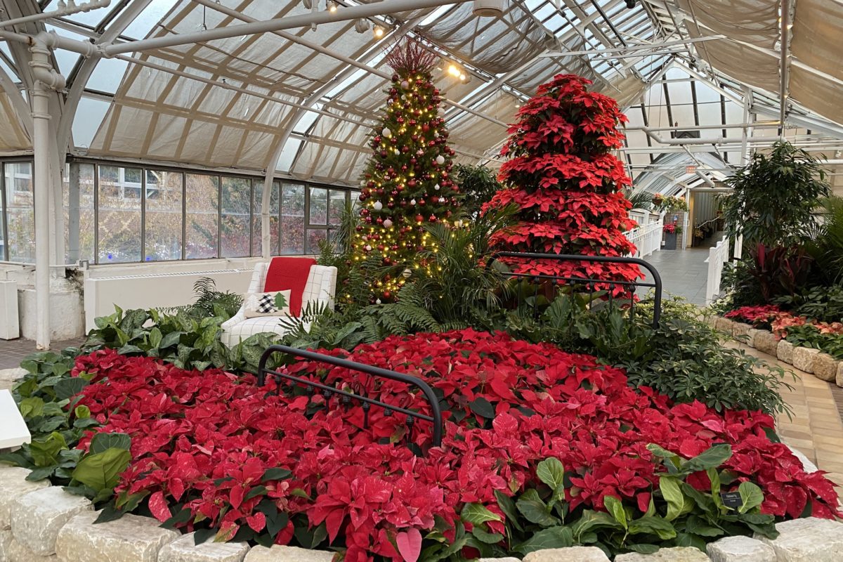 Holiday Blooms | Franklin Park Conservatory And Botanical ...